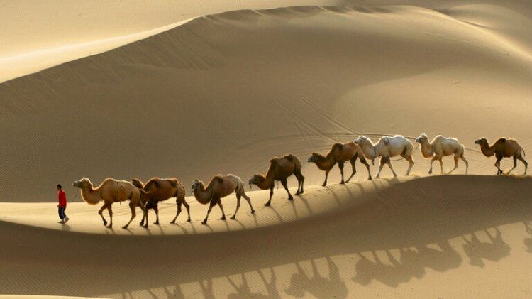 أغنى رجل في التاريخ.. عاش في أفقر بقاع الأرض حاليا!