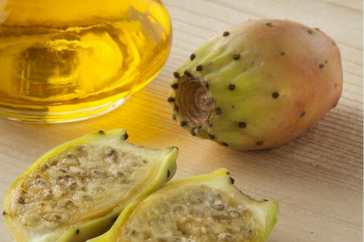 التين الشوكي