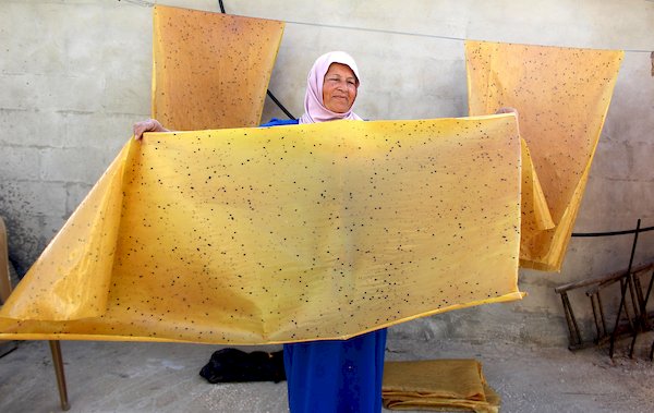 فلسطينية تصنع الملبن في حلحول بالقرب من مدينة الخليل 