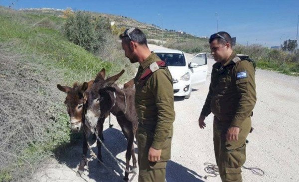 صورة تعبيرية 