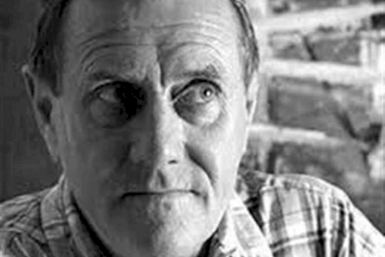  باتريك وايت 