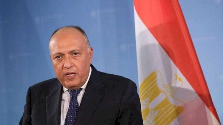 وزير الخارجية سامح شكرى