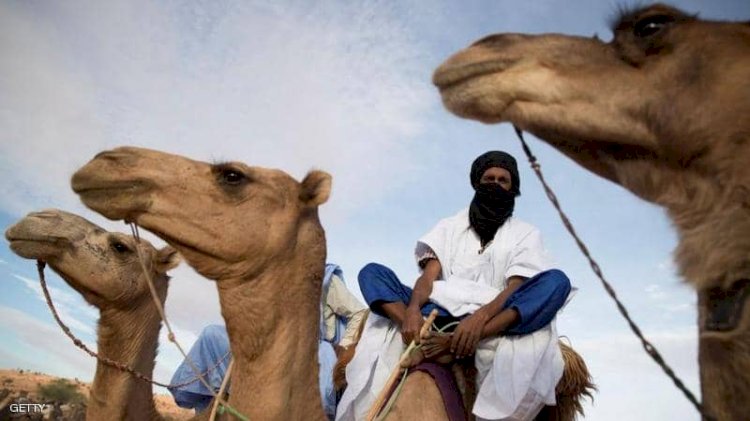 حمى الوادي المتصدع مرض يصيب الحيوانات ينتقل للبشر