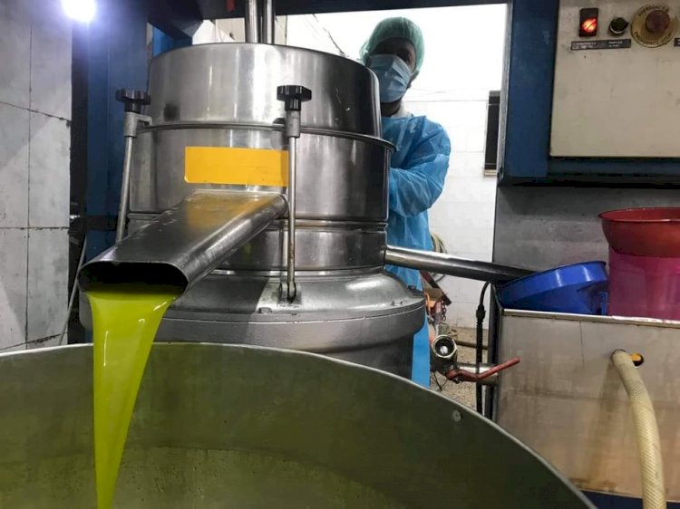 معاصر زيت زيتون