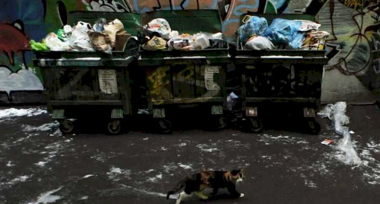 صندوق قمامة