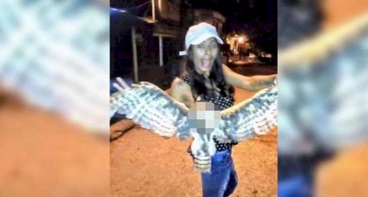 ظهرت ميليديس في فيديو وهي تقتل بومة بوحشية