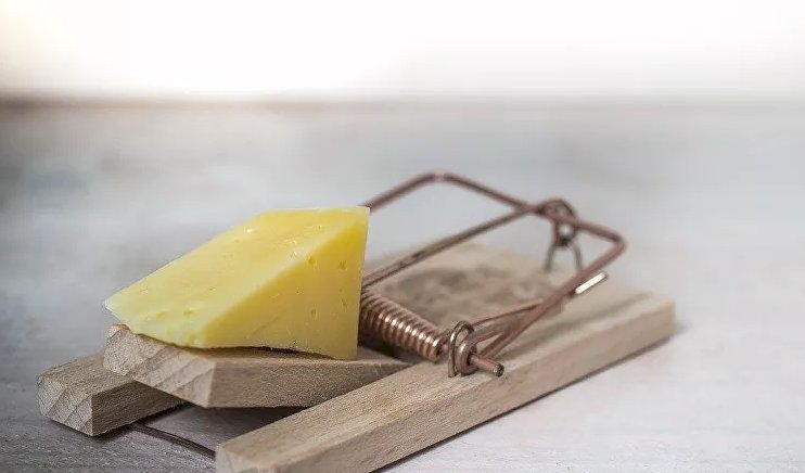 مصيدة فئران 