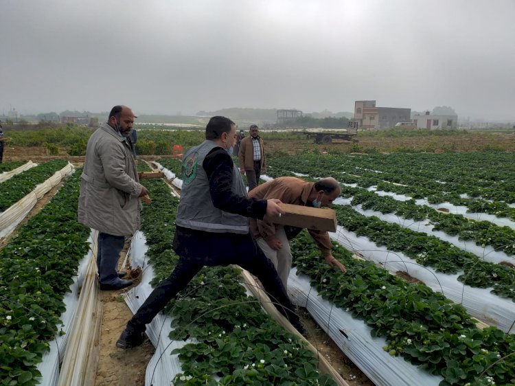 مجلس العمال ينفذ فعالية تطوعية بعنوان " الذهب الأحمر"