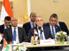 وزير الخارجية المصري يطالب بإنهاء الحرب في غزة وتنفيذ خطة ترامب للسلام