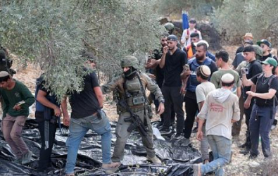 34 اعتداءات ضد قاطفي الزيتون أمس..مستوطنون يهاجمون مزارعو بيت جرير لليوم الثاني