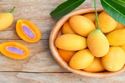 أخبار طيبة لعشاق المانجا.. 10 فوائد ستجعلك تدمن عليها