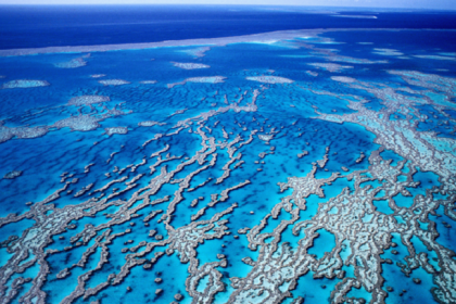 هل الحاجز المرجاني العظيم يشفي نفسه؟