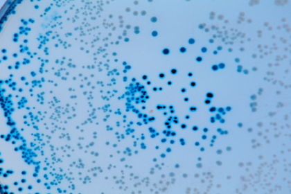 "فيروسات عملاقة" يمكن أن تساعدنا في محاربة مقاومة المضادات الحيوية!