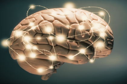 هل يتقلص دماغ الإنسان حقا مع مرور الزمن؟!