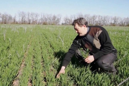 المزارعون اليابانيون يقترحون ري المحاصيل بالفودكا!