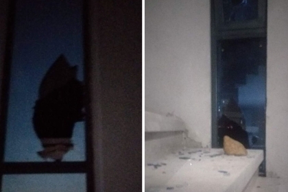 مستوطنون يهاجمون منزلا ويطلقون قنابل الغاز في بيت فوريك شرق نابلس