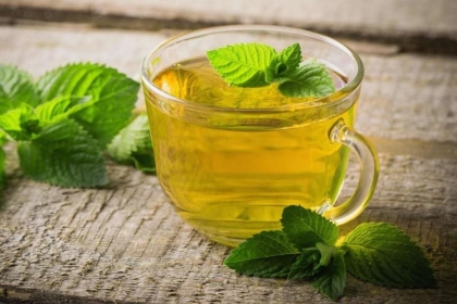 فوائد مهمة للنعناع صحية وضرورية للجسم