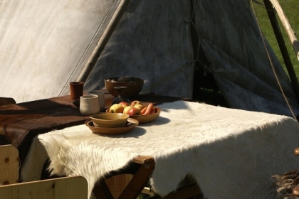 ما هو نظام الفايكنج الغذائي؟