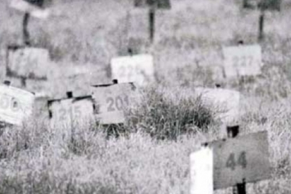 بالأسماء .. سلطات الاحتلال تحتجز جثامين 12 أسيراً