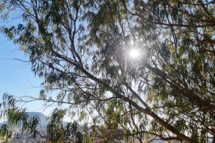 طقس فلسطين: ارتفاع ملموس على درجات الحرارة