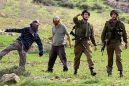 مستوطنون ينصبون خيمة ويعتدون على الرعاة في مسافر يطا