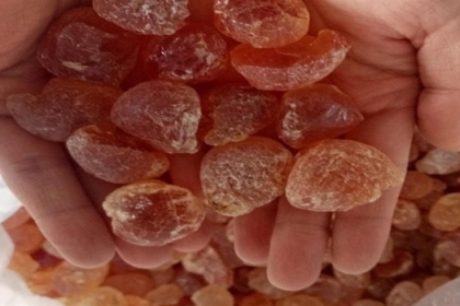 بسبب السودان.. كوكاكولا وبيبسيكو في خطر