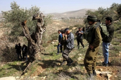 مستوطنون ينصبون خياماً على أراضي المواطنين شمال الخليل