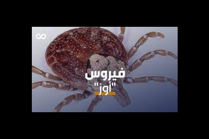 اليابان تسجّل أول وفاة بـ فيروس (أوز OZ) جرّاء عضة قراد