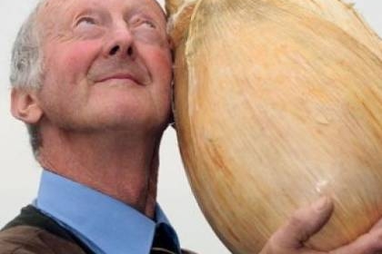 "حبة بصل" تحطم الأرقام القياسية في موسوعة غينيس