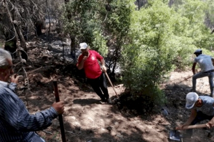 لبنان: إخماد حريق اندلع منذ 4 أيام في حرج السفيرة