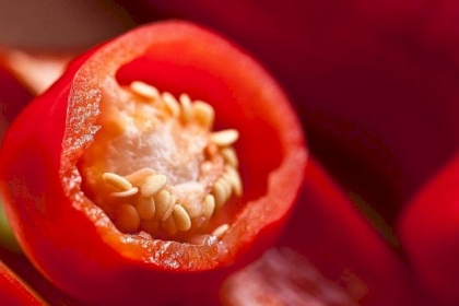 الشطة المطحونة.. فوائد عدة قد لا يعرفها الكثيرون