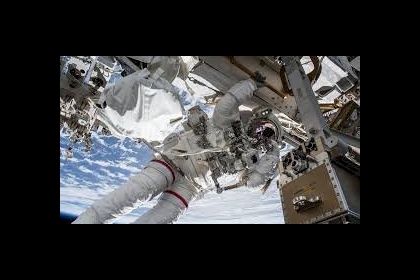 الفئران تمنح الأمل لرواد الفضاء