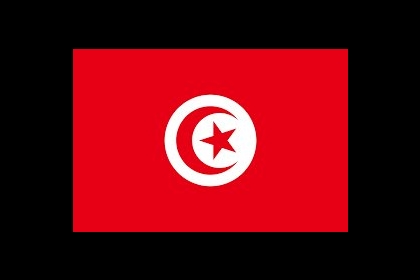 وقفات في العاصمة والمدن التونسية منددة بجرائم الاحتلال في فلسطين