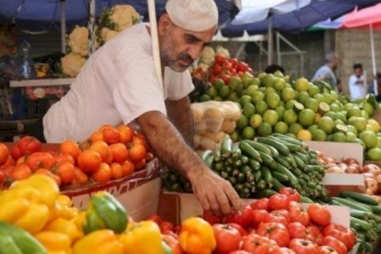 سعر الدجاج والخضروات اليوم السبت 16 ابريل في غزة