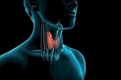 ما خطورة مشكلات الغدة الدرقية؟