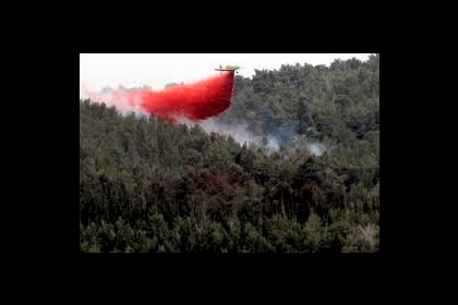 إسرائيل تفكر في طلب مساعدة دولية لمواجهة موجة استثنائية من الحرائق