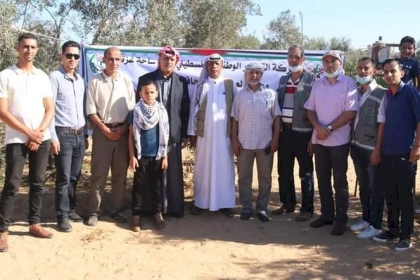 مبادرة تطوعية لجني ثمار الزيتون في محافظة رفح