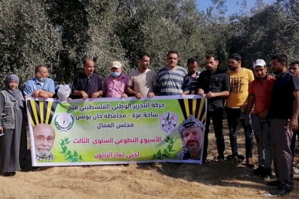 بالصور: مبادرة عمالية في خانيونس لجني ثمار الزيتون دعماً للمزارعين