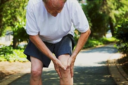 إعادة نمو غضروف الركبة: دراسات واعدة على الحيوانات