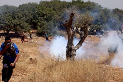 إصابات بالاختناق خلال مواجهات مع الاحتلال في مخيم العروب