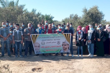 مجلس العمال ينظم  يوماً تطوعياً لجني الزيتون غرب محافظة الشمال  ..صور