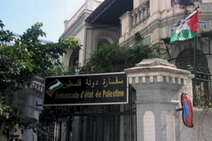 القاهرة: الكشف عن اتفاق لتدريس الطلبة الفلسطينيين السينما عن بعد مجانًا