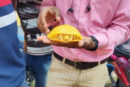 العثور على سلحفاة صفراء نادرة في الهند للمرة الثانية خلال عام