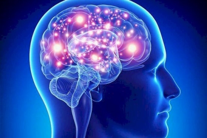 مكمّل غذائي للدماغ قد يقوي الذاكرة اللفظية والوظيفة التنفيذية!