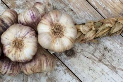 تكثيف الشعر بالثوم .. وعلاجه للثعلبة ولكن احذروا حساسيته