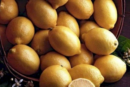 الليمون والنحافة.. دراسة تكشف "العلاقة الغريبة"