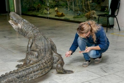 بعد نجاته من الحرب العالمية.. روسيا"تخلّد" تمساح هتلر