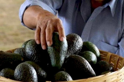 لقلب سليم معافى.. احرص على هذه الأطعمة