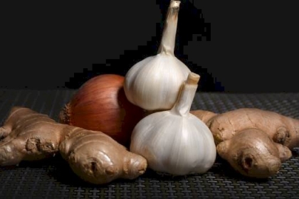 أفضل و أشهر أنواع المضاد الحيوي الطبيعي