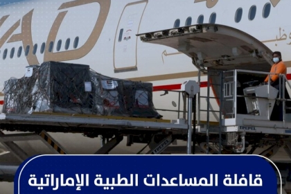 انفوجراف - قافلة المساعدات الإماراتية تصل قطاع غزة